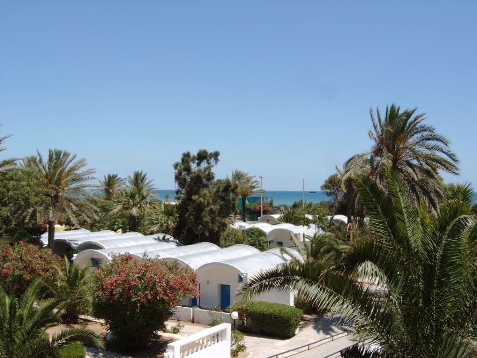 Außenanlage -Blick auf Bungalows Hotel Coralia Jawhara Palm Beach