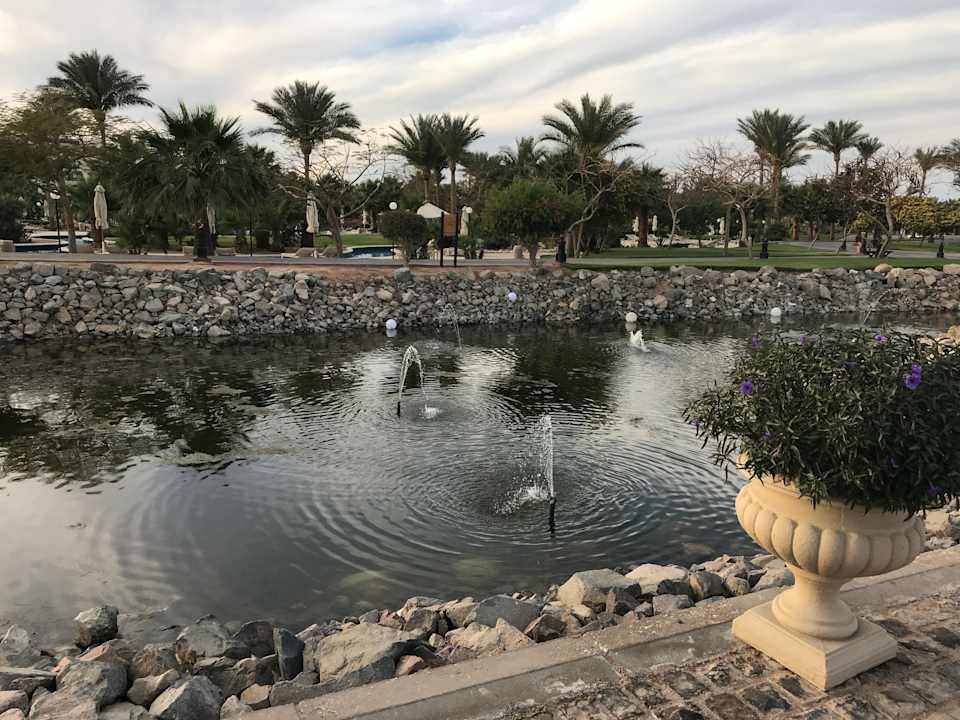 Gartenanlage Steigenberger Aqua Magic