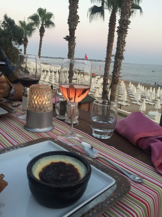 Gastro Arum Barut Collection