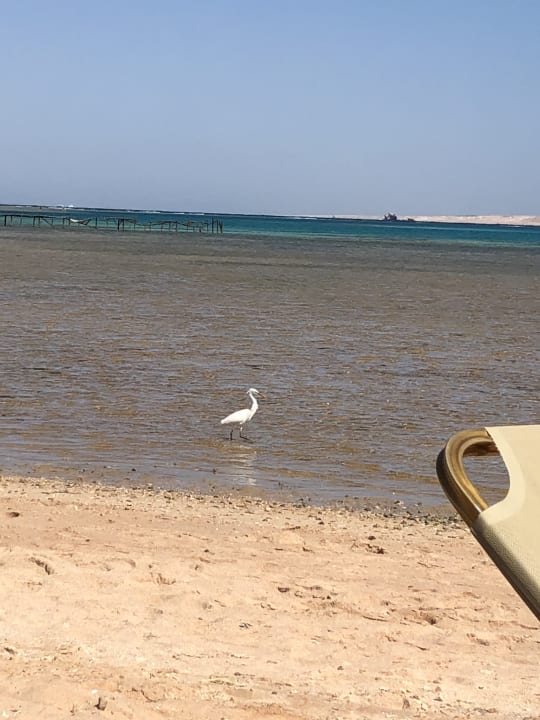 Strand JAZ Belvedere Resort