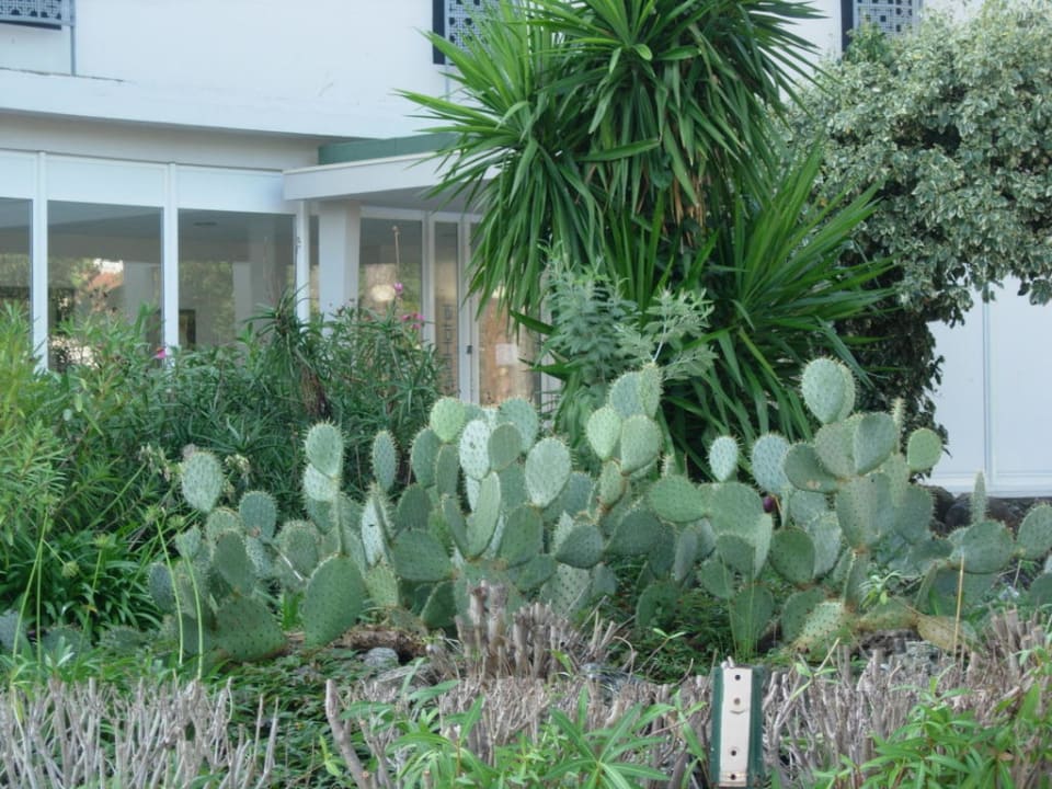 Eingangsbereich Residhotel La Tour De Mare