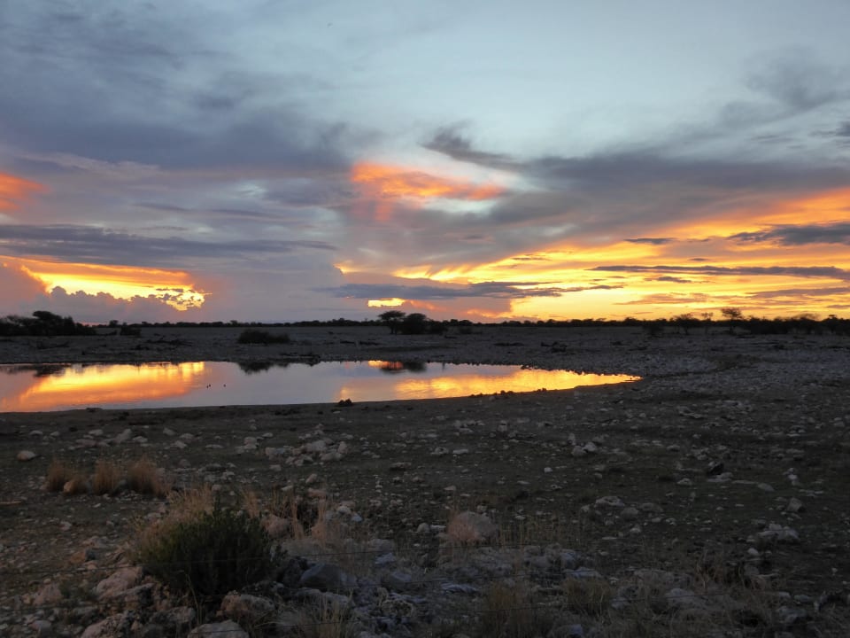Wasserloch bei Sonnenuntergang Okaukuejo Camp