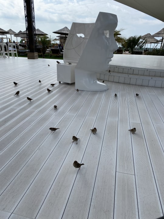 Strand Maxx Royal Belek Golf Resort