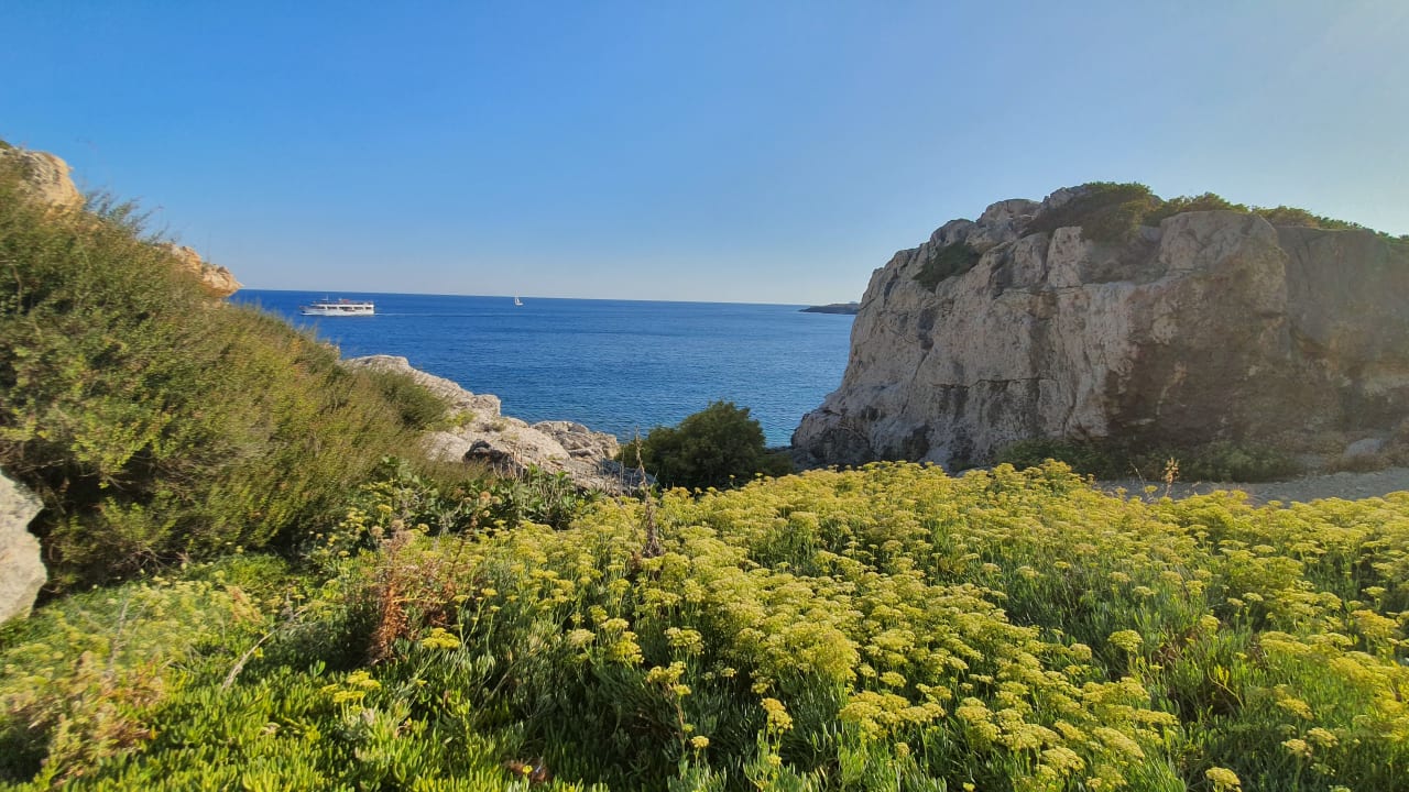 Ausblick Hotel Kalithea Horizon Royal