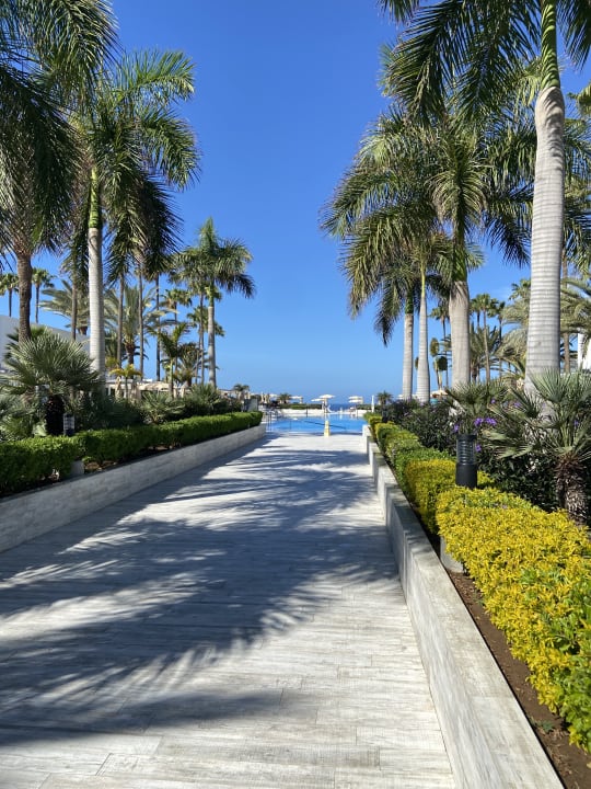 Garten Hotel Riu Palace Meloneras