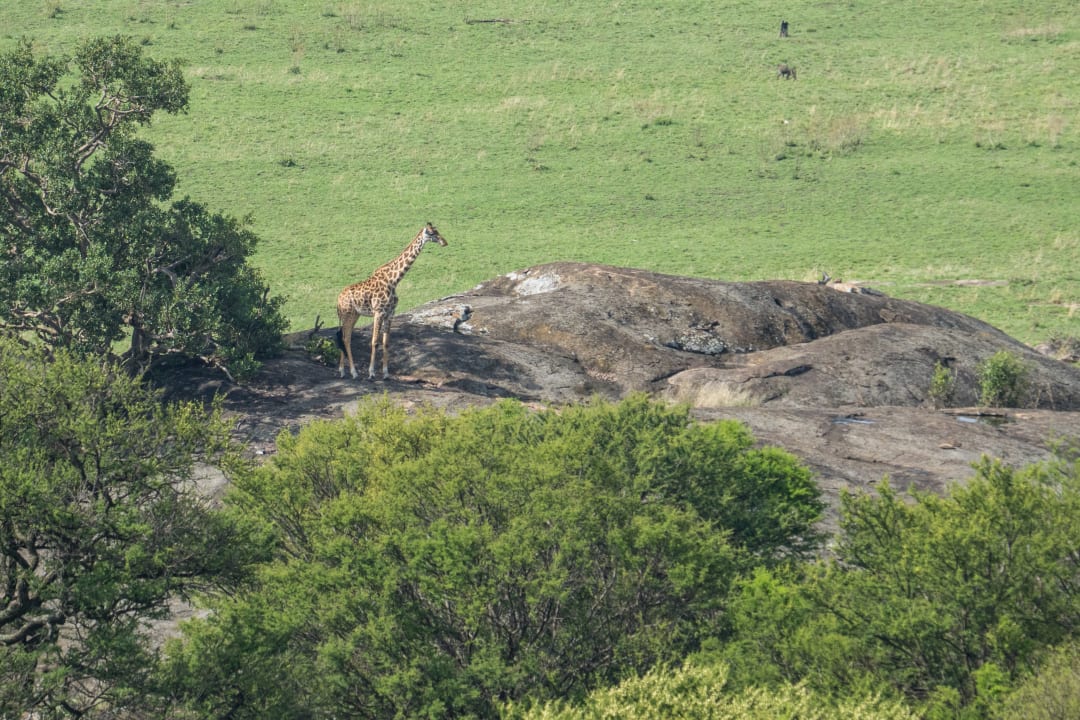 Ausblick Hotel Lobo Lodge