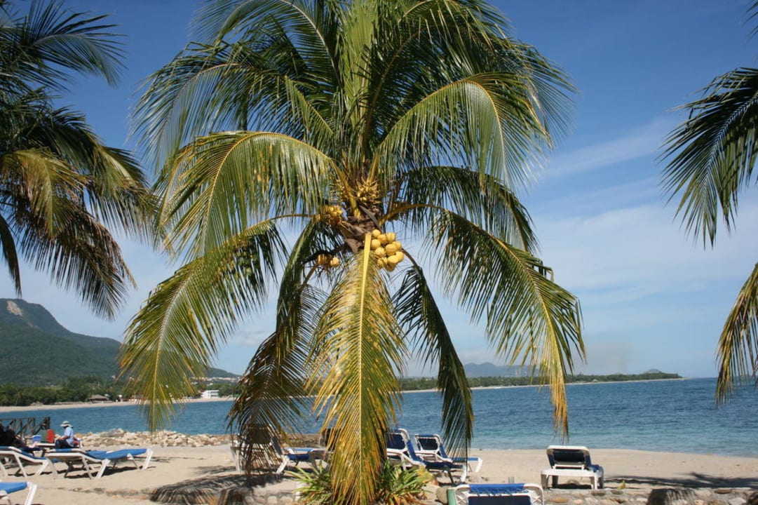 Strand und das Meer Grand Paradise Playa Dorada