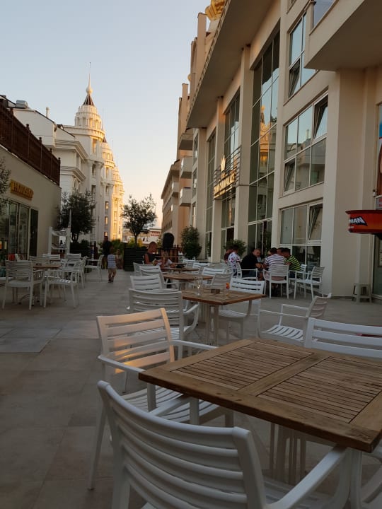 Gastro Well Palace Side