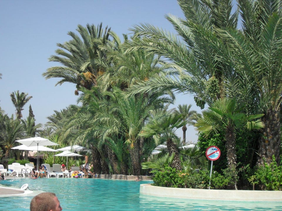 Piscine de l'hotel Hotel Royal Decameron Issil