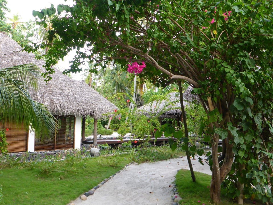 Weg zum Restaurant Filitheyo Island Resort