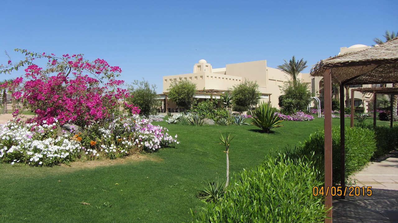 Garten JAZ Neo Saraya Palms