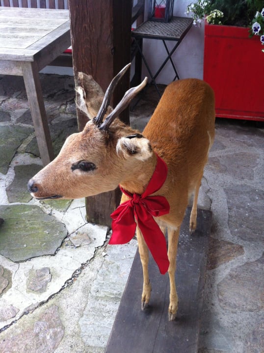 Vor dem Eingang zum Hotel Schloss Münichau