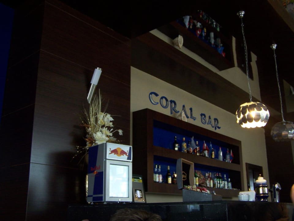 Bar Seaden Sea World Resort & Spa