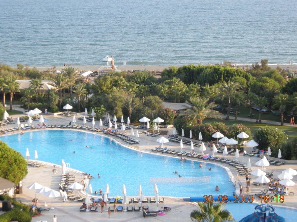 Fensterblick Green Max Hotel
