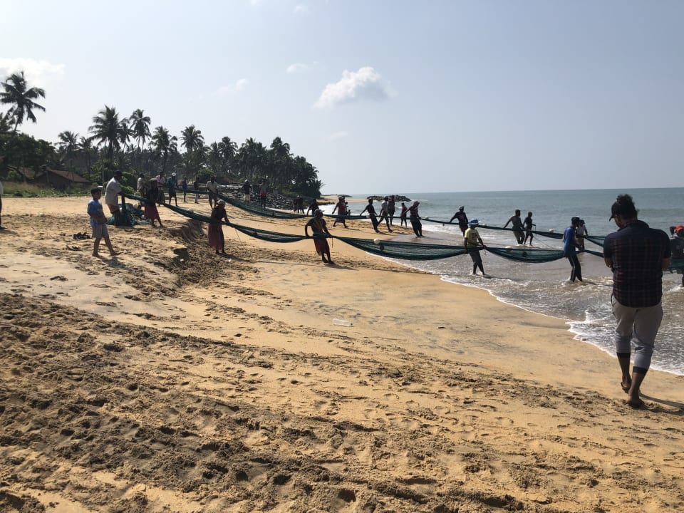 Strand Cinnamon Sea Health Care