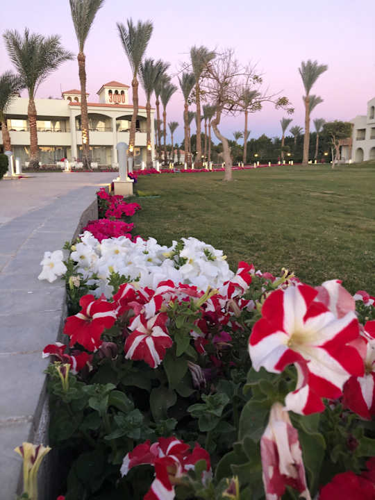 Gartenanlage Pickalbatros Dana Beach Resort - Hurghada