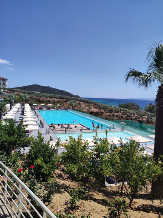 Pool Akrathos Beach Hotel