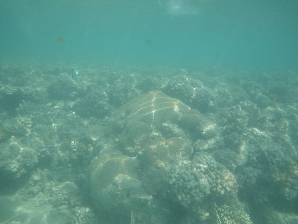 Strand Cleopatra Luxury Resort Makadi Bay