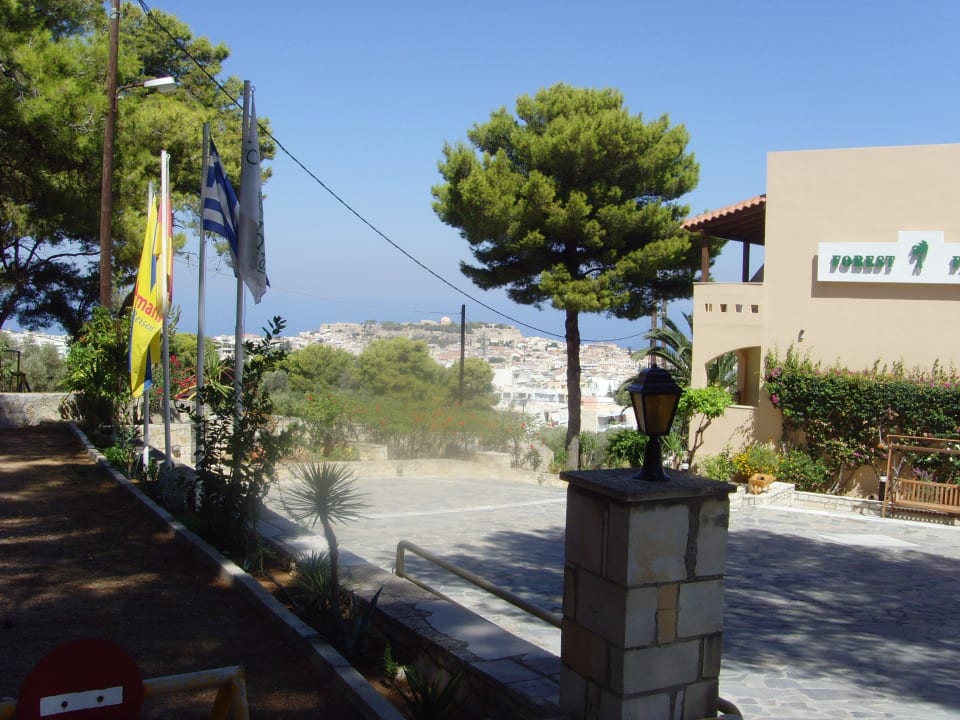 Vor dem Hotel Hotel Forest Park