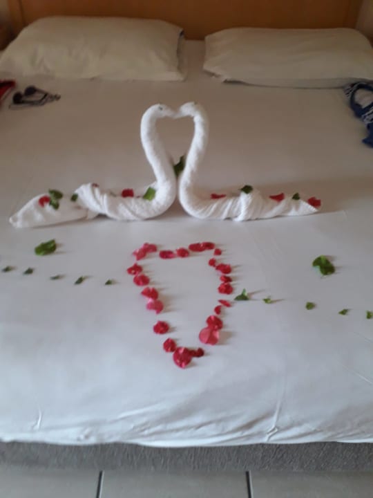 Zimmer Hotel JAZ Makadi Star & Spa