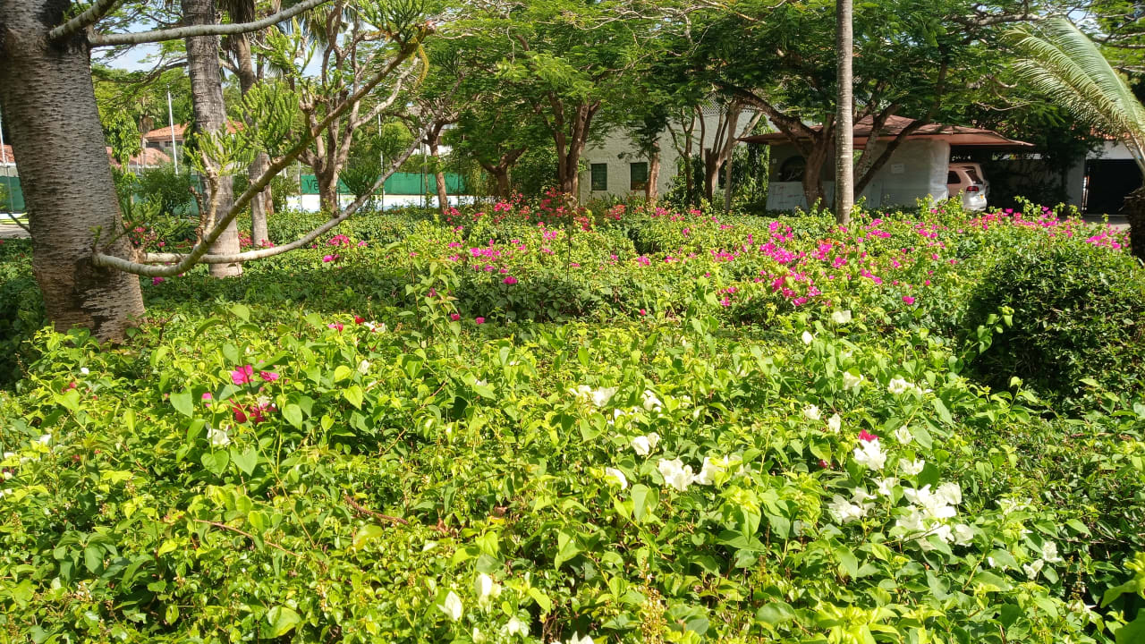 Gartenanlage Diani Sea Resort