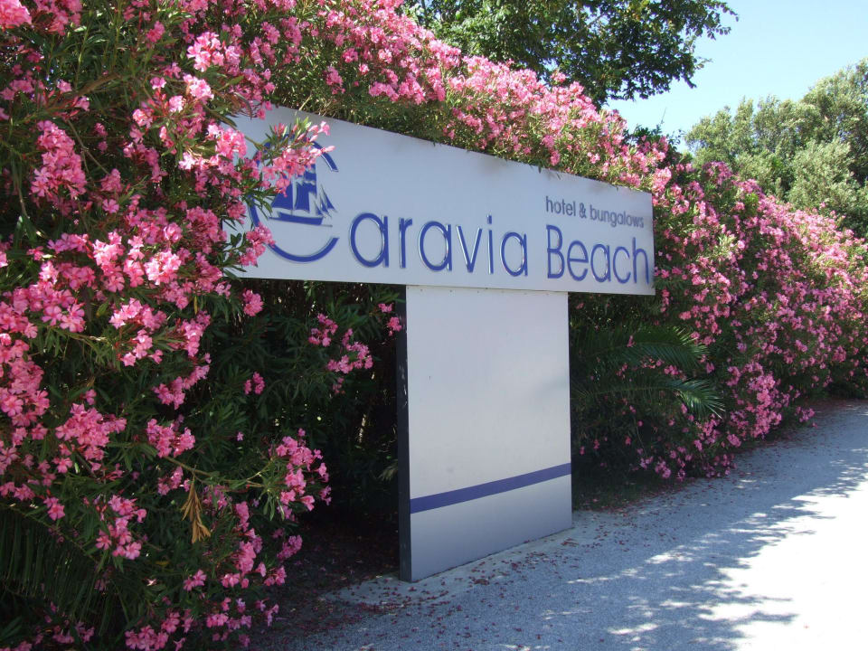 Wygląd zewnętrzny hotelu Caravia Beach Hotel