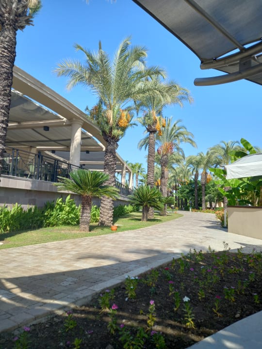 Gartenanlage TUI BLUE Palm Garden