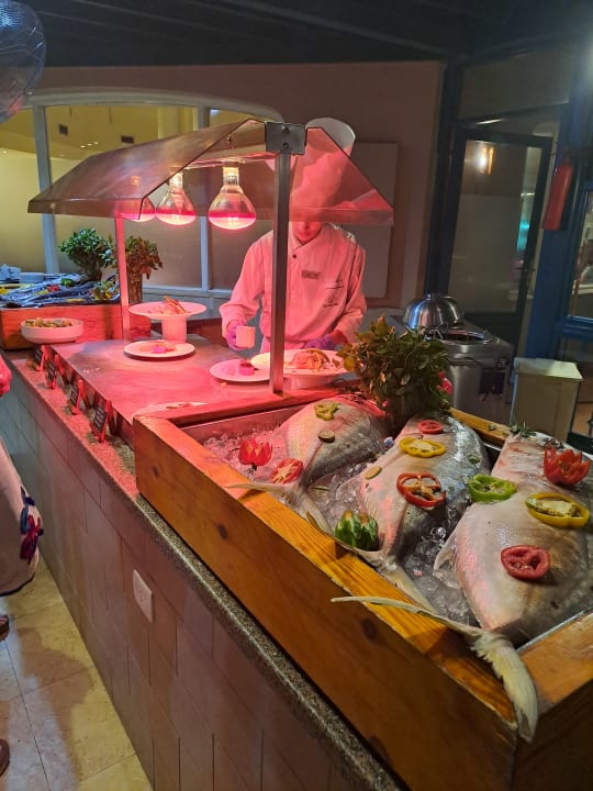 Gastro Club Paradisio El Gouna, Red Sea