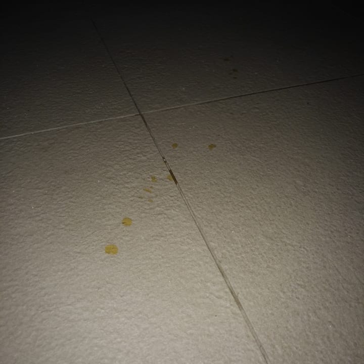 Zimmer Kempinski Seychelles Resort