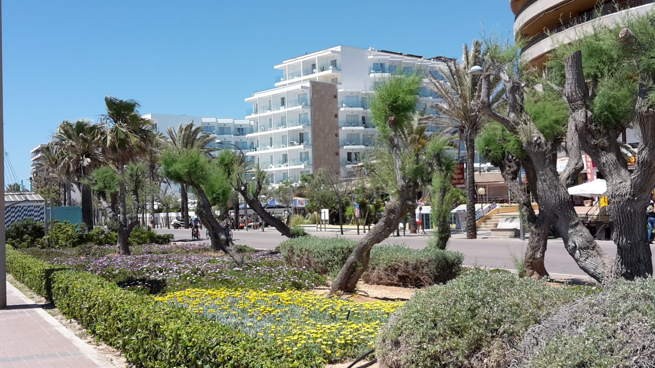 Außenansicht HM Tropical