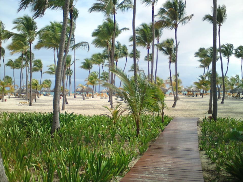 Der Weg zum Strand Catalonia Punta Cana - All Inclusive