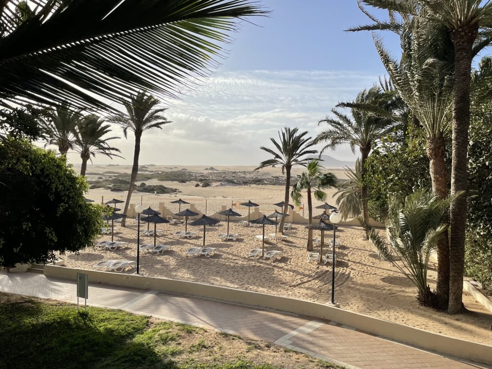 Außenansicht Hotel Riu Oliva Beach Resort