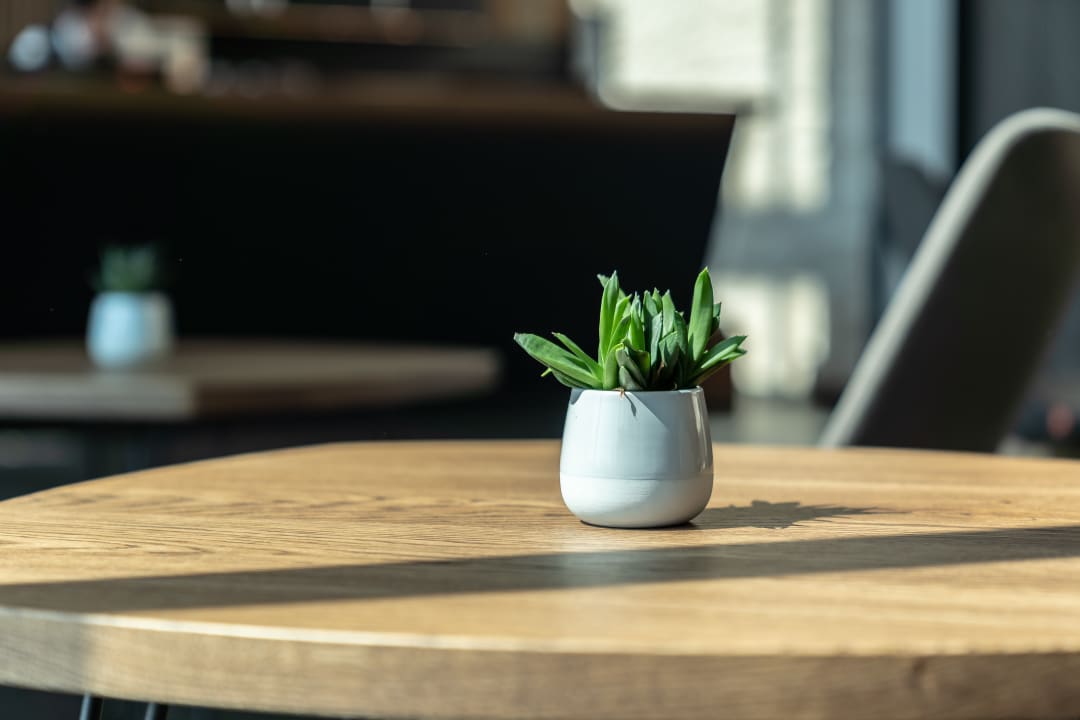 Lobby Augsburg Hotel Sonnenhof