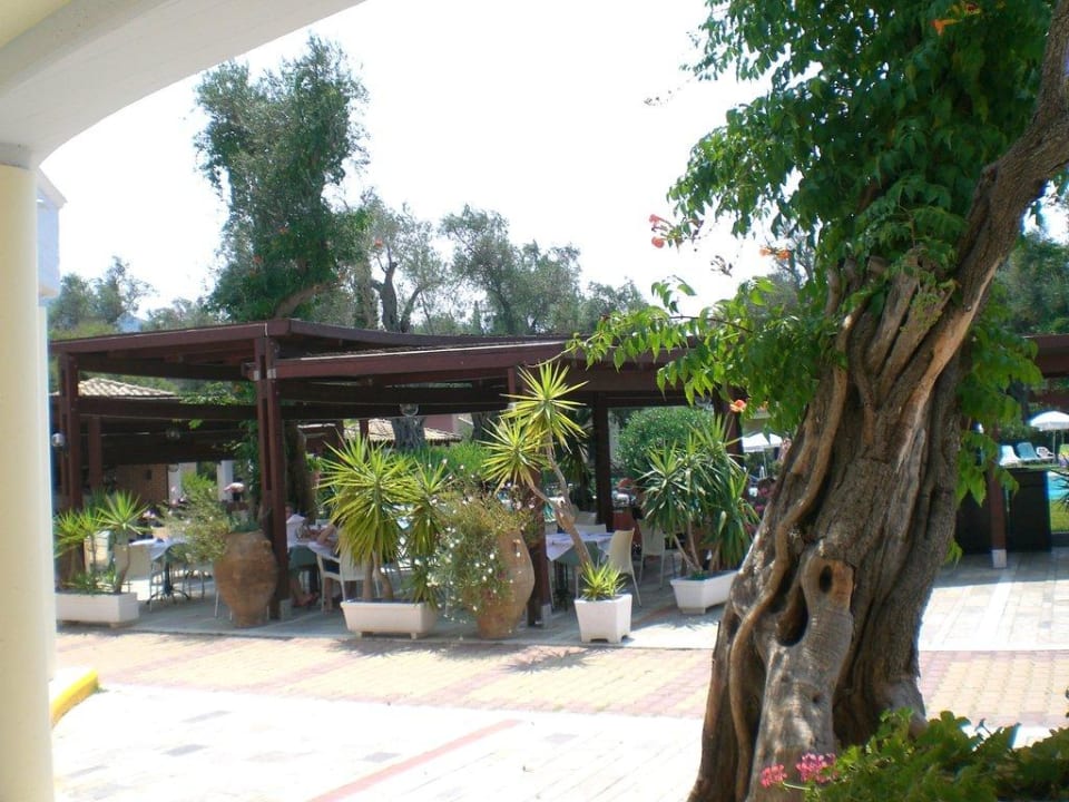 Poolbar Sentido Apollo Palace