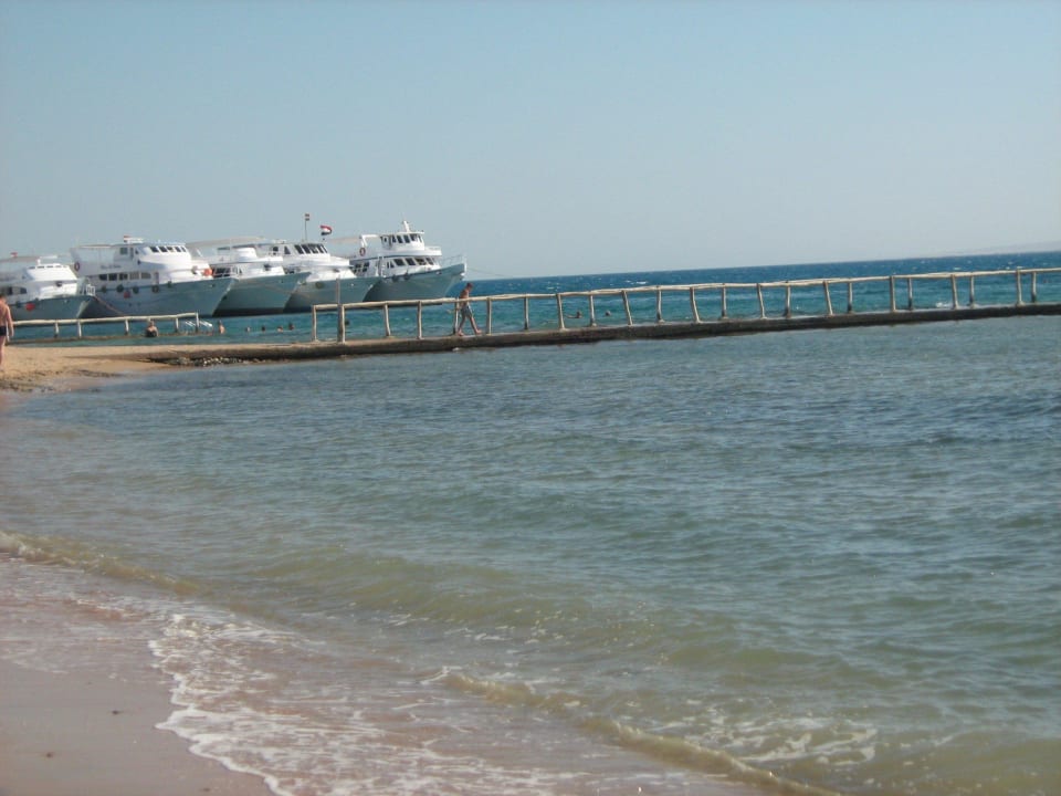 Красное море Ali Baba Palace Hotel