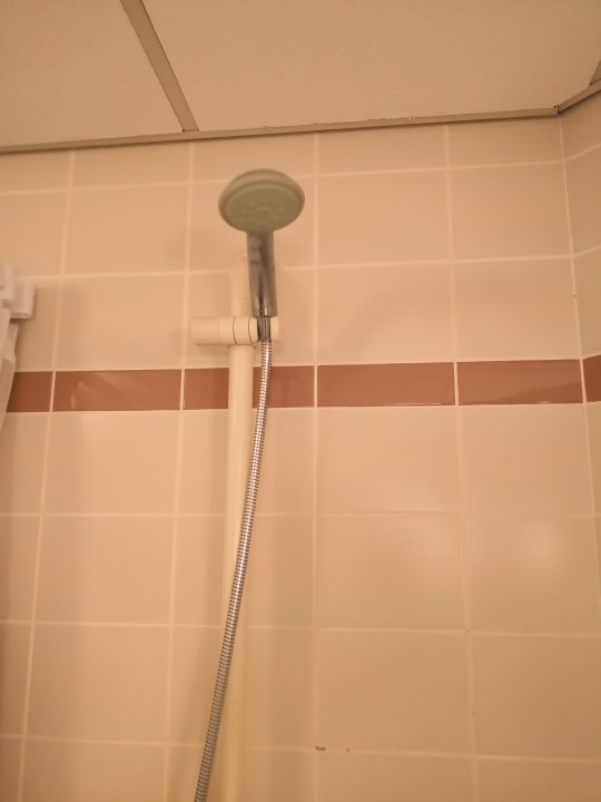 Zimmer Hilton Dresden