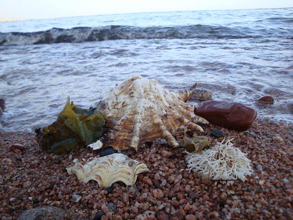 Lokalne skarby Happy Life Village