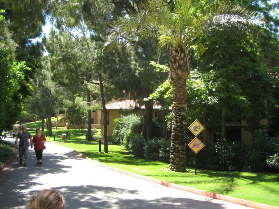 Gartenanlage Asteria Family Belek