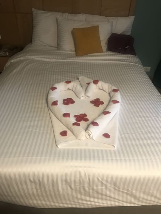 Zimmer Prima Life Makadi Resort