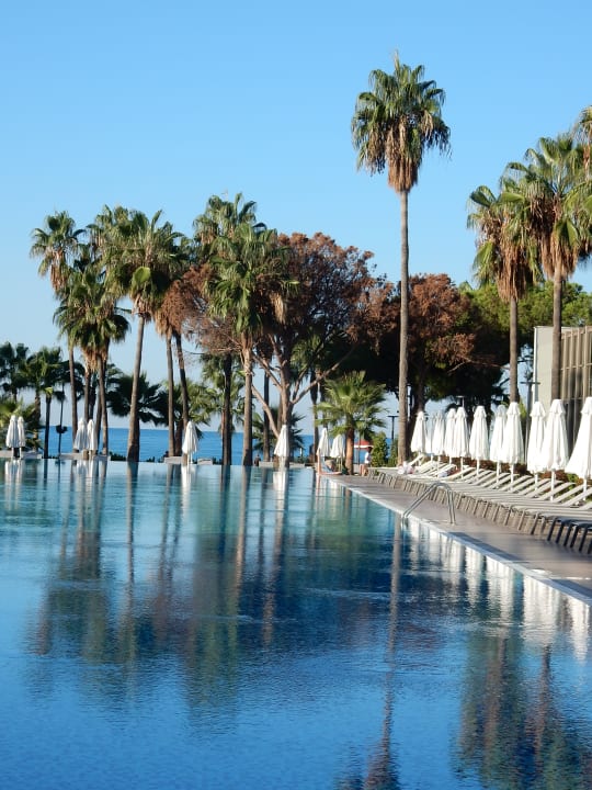 Pool Acanthus Cennet Barut Collection