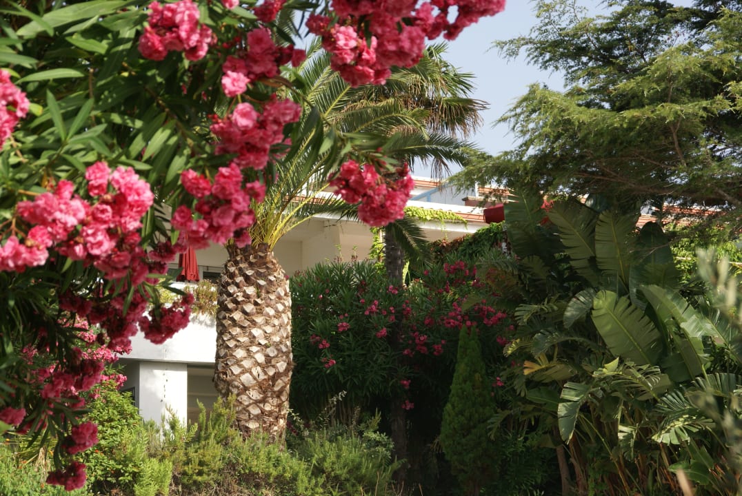 Gartenanlage Aldiana Club Rocca Nettuno Calabria