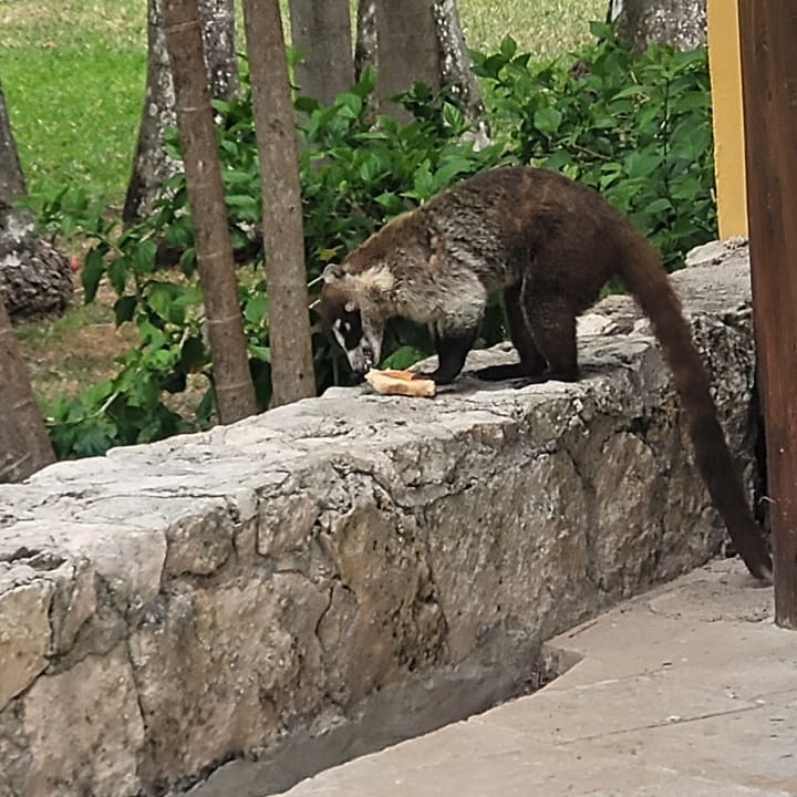 Sonstiges Iberostar Waves Paraiso del Mar