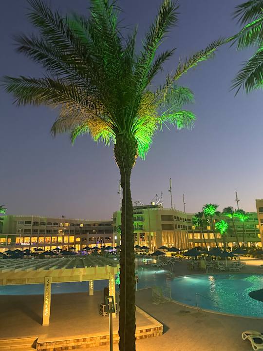 Pool Beach Albatros Resort