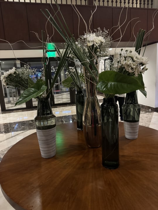 Sonstiges Steigenberger Aqua Magic