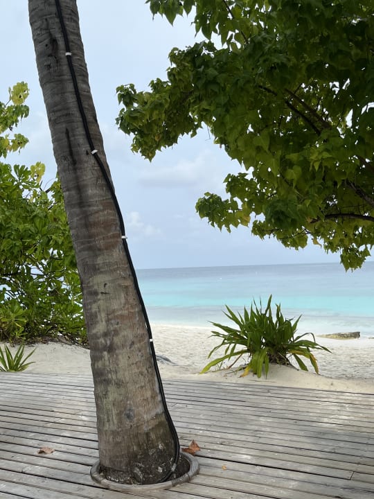 Ausblick NH Collection Maldives Reethi Resort