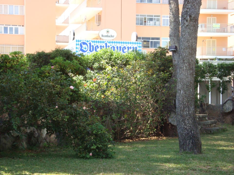 Liegewiese Hotel Riu Bravo