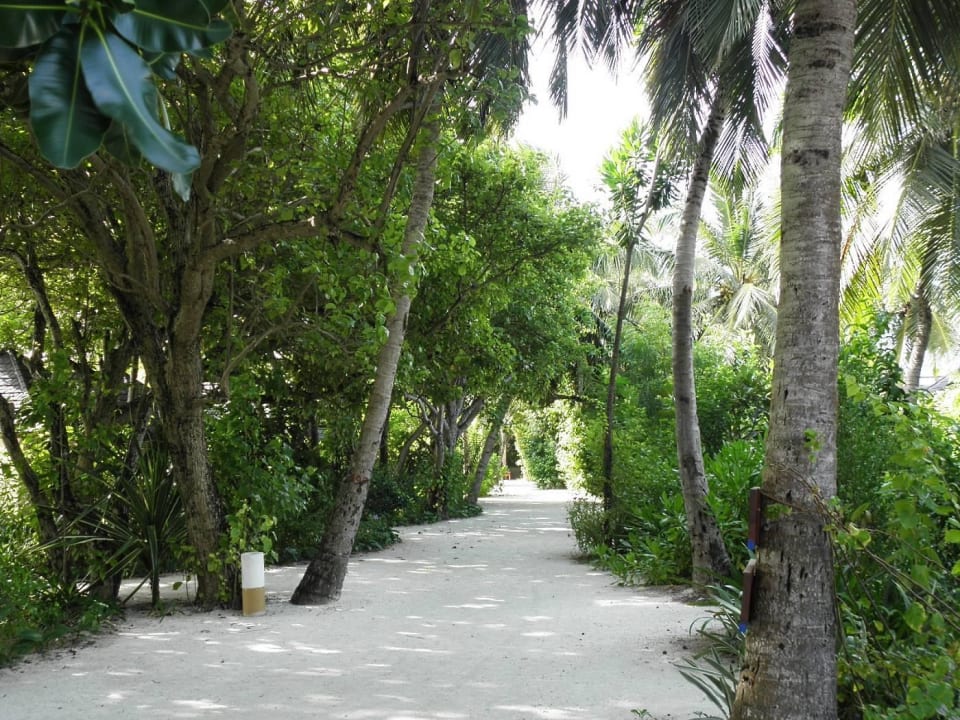Sandweg Summer Island Maldives