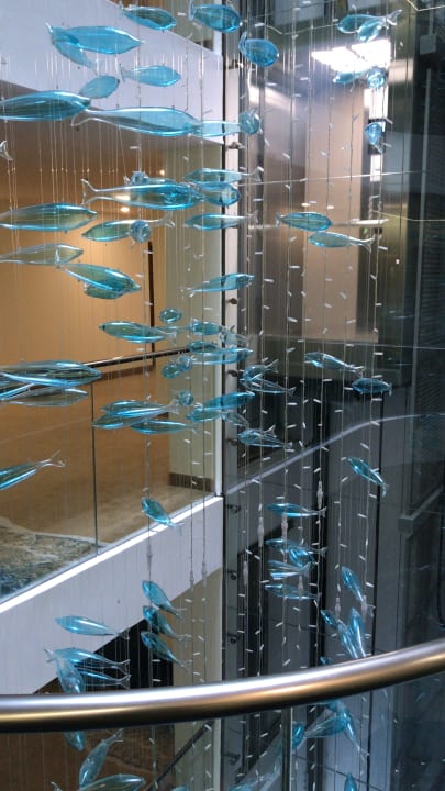 Zimmer Sentido Marea