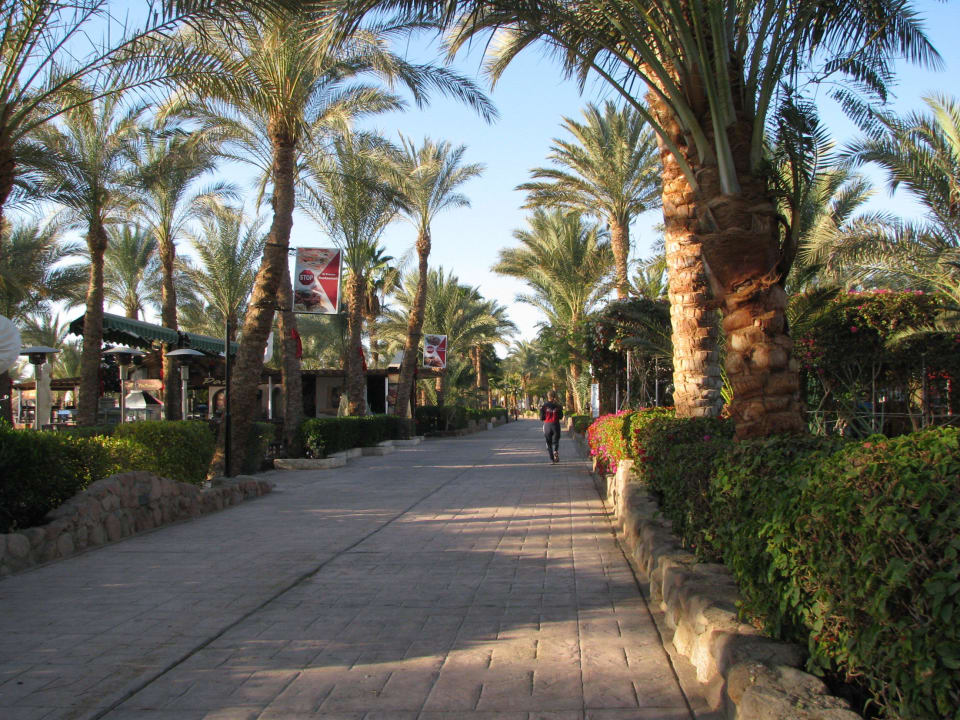 Hotelzufahrt Ghazala Beach