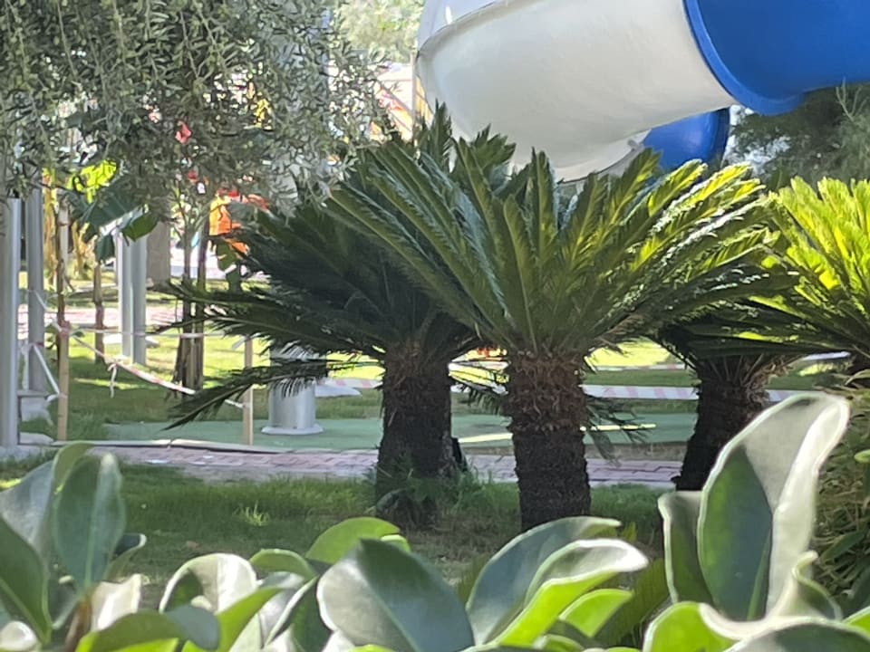 Gartenanlage Saturn Palace Resort Hotel